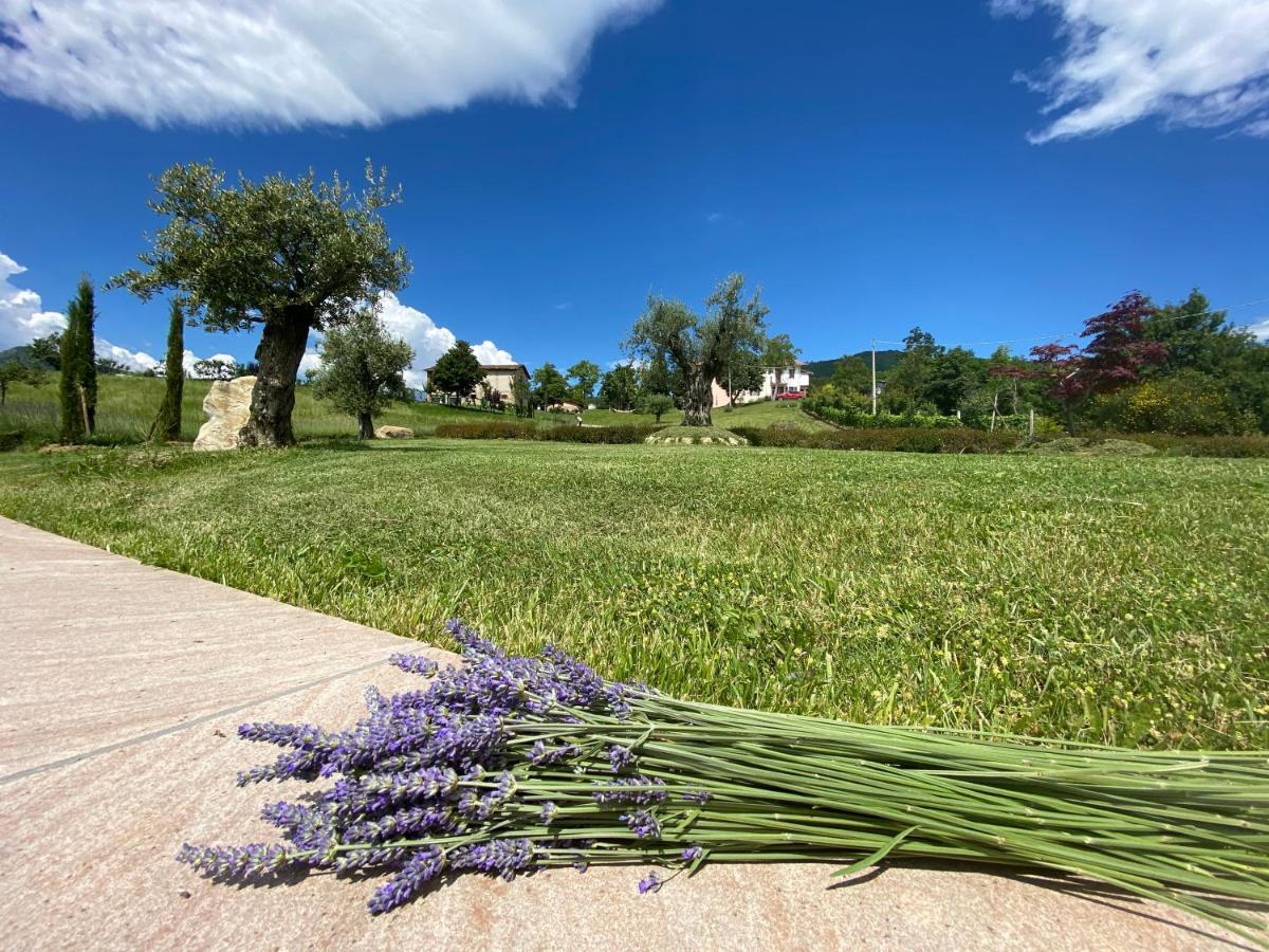 Bed and Breakfast L'Oca Giuliva Relais Gaggio Montano Экстерьер фото
